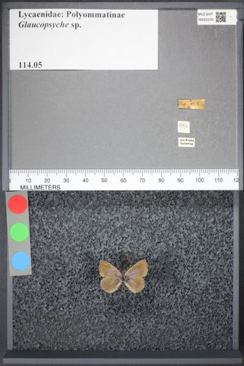 Media type: image;   Entomology 53370